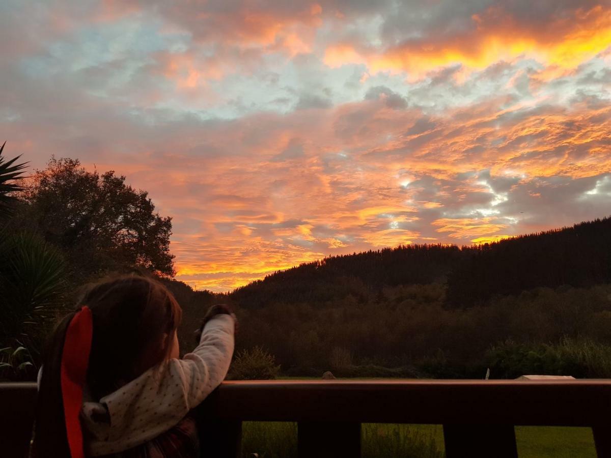 Agroturismo Iberreko Errota Muxika Luaran gambar